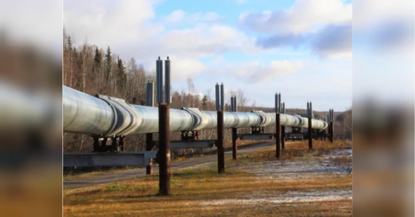 Угорщина відновлює імпорт через «Дружбу»: названа дата старту