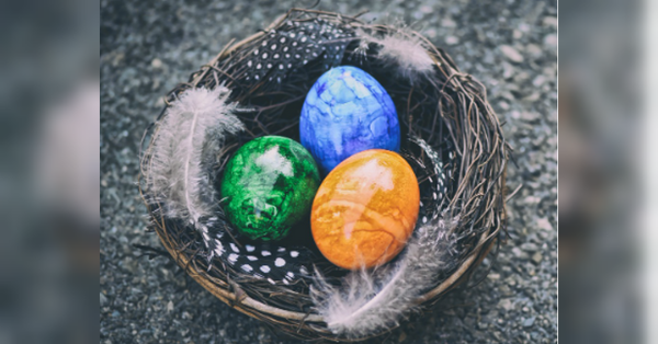 Не можна викидати: що робити зі шкаралупою від великодніх яєць - INFBusiness