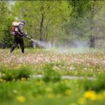 У кропивницькому парку проведуть обробку від кліщів, але працюватиме зелена зона без обмежень - INFBusiness