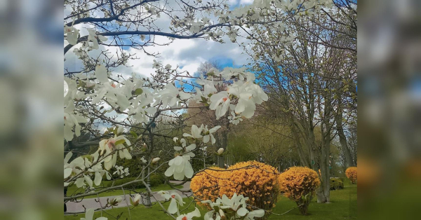 Левам потрібно з обережністю поставитися до «вигідної» пропозиції, а Рибам варто дослухатися думки близьких людей: гороскоп на 26 квітня - INFBusiness