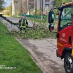 Буревій в Україні: дерева вбивають людей, сотні населених пунктів без електрики (фото) - INFBusiness