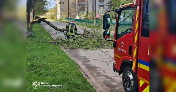 Буревій в Україні: дерева вбивають людей, сотні населених пунктів без електрики (фото) - INFBusiness