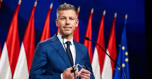 Віталій Кулик: Поступки Мадяра Києву можливі лише за схемою послуга за послугу - INFBusiness