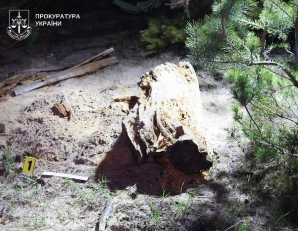 Знищив «конкурента»: під Полтавою батько вбив 3-річного сина через ревнощі до дружини - INFBusiness