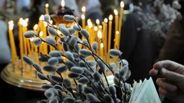 Вербна неділя: магічні властивості верби та чому вона стала символом сили й добробуту - INFBusiness