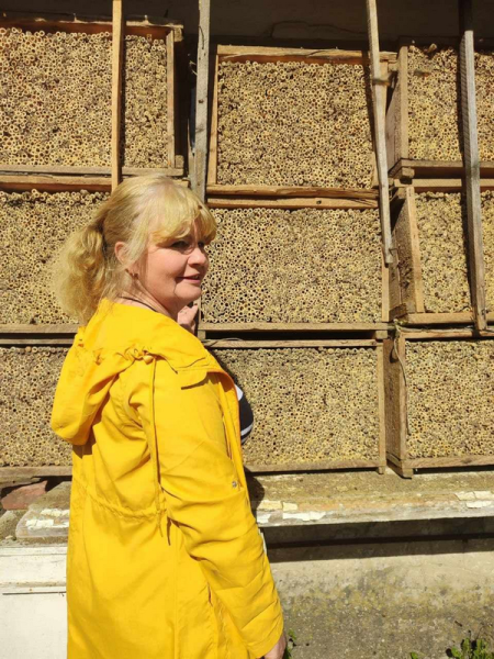 Мільйони коконів за три копійки: як полтавські вчені першими в Союзі навчилися заробляти на диких бджолах - INFBusiness