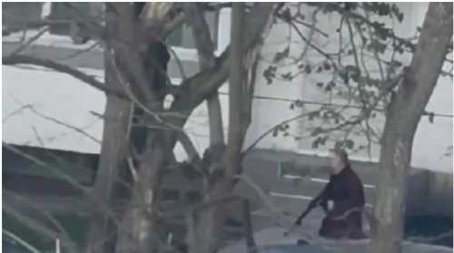 Нардеп Сергій Алєксєєв: Реформу поліції потрібно проводити з чистого аркуша - INFBusiness