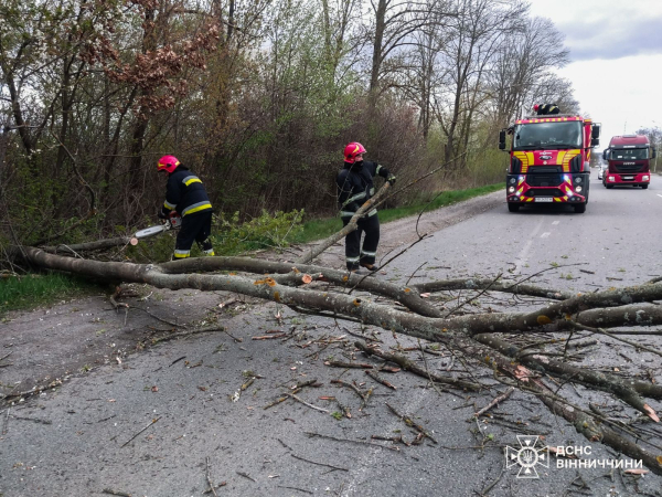 Буревій в Україні: дерева вбивають людей, сотні населених пунктів без електрики (фото) - INFBusiness