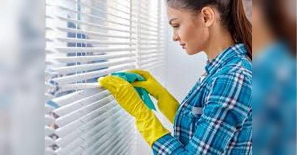 Як швидко очистити жалюзі від пилу без демонтажу: простий лайфхак - INFBusiness