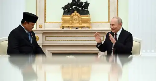 "Людина-емодзі" у коротких штанцях: Daily Star висміяла дивний вигляд Путіна на зустрічі з президентом Індонезії - INFBusiness