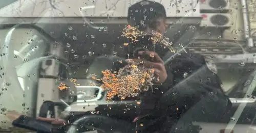 У Києві намагалися підпалити автомобіль нардепа Гузя - INFBusiness