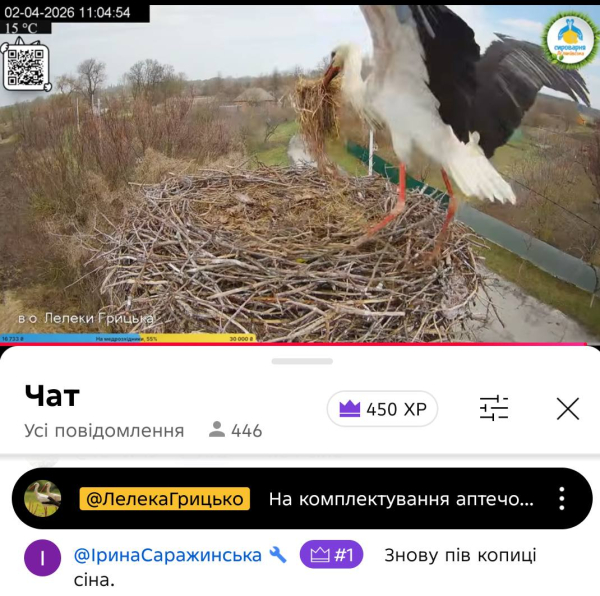 Лель і Квітка замість Грицька та Одарки: у знаменитому гнізді на Полтавщині розпочався новий сезон лелечого «серіалу» - INFBusiness