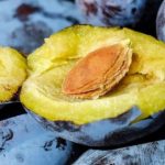 Забудете про червиві сливи: проста схема захисту саду, яка працює - INFBusiness