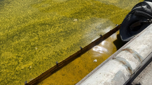 Росіяни знову залили Чорне море олією (фото) - INFBusiness