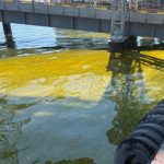 Росіяни знову залили Чорне море олією (фото) - INFBusiness