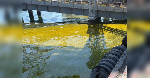 Росіяни знову залили Чорне море олією (фото) - INFBusiness