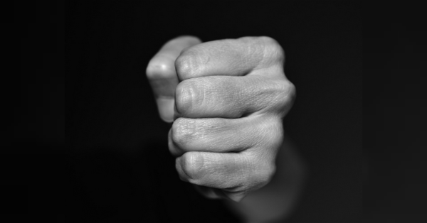 Син за батька: дітей Трампа хочуть посадити в клітку, щоб подивитися, як вони б'ються - INFBusiness