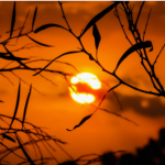 Червоний рівень небезпеки: Землю накриє потужна магнітна буря - INFBusiness