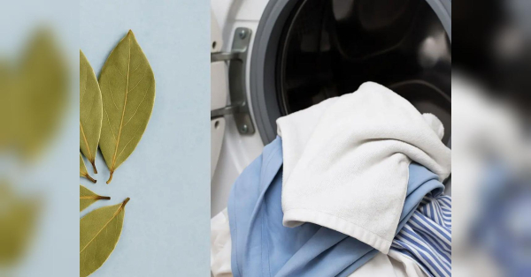 Як приправу, яка є на кожній кухні, наші бабусі використовували для… прання: забутий лайфхак - INFBusiness