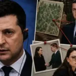 Свириденко блокує звільнення Болоховця всупереч позиції Зеленського, – Маландій - INFBusiness