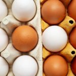 Білі чи коричневі яйця: експерти нарешті поставили крапку в цьому питанні - INFBusiness