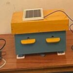Школяр із Шостки створив «розумний вулик» з управлінням через смартфон - INFBusiness