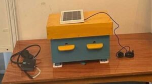 Школяр із Шостки створив «розумний вулик» з управлінням через смартфон