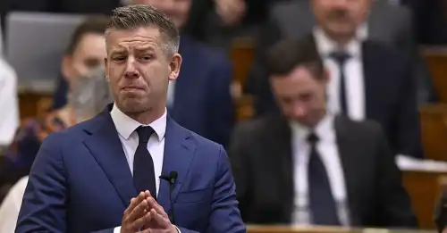 Роман Безсмертний: Мадяр несвідомо грає на руку Кремлю, хоча публічно його не підтримує - INFBusiness