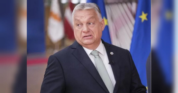 Помста Орбана: ЗМІ розповіли, чому затримали українських інкасаторів в Угорщині - INFBusiness