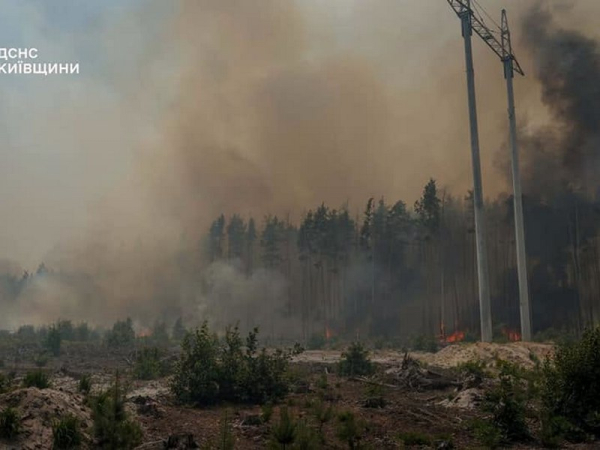 Літо — особлива небезпечна пора для лісних пожеж. Загорілося декілька осередків в Чорнобильській зоні. Рятувальники Київщини сьогодні зранку ліквідували загоряння на одній із локацій площею 130 гектарів. Приборкання вогню: пожежники загасили один з осередків спалаху в Чорнобильській зоні (фото, відео) - INFBusiness