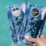 Нацбанк присвятив нову монету легендарному дрону Sea Baby - INFBusiness
