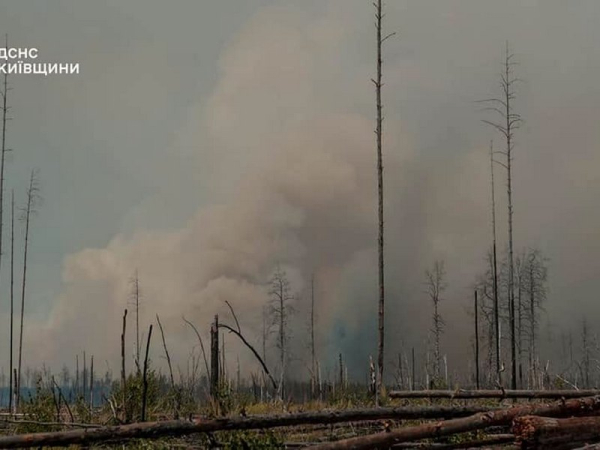 Літо — особлива небезпечна пора для лісних пожеж. Загорілося декілька осередків в Чорнобильській зоні. Рятувальники Київщини сьогодні зранку ліквідували загоряння на одній із локацій площею 130 гектарів. Приборкання вогню: пожежники загасили один з осередків спалаху в Чорнобильській зоні (фото, відео) - INFBusiness