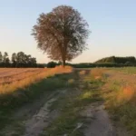 Твоє коло шахрайства: компанія, що найбільше рекламує здорожчання землі, заганяє інвесторів у кабальні умови - INFBusiness