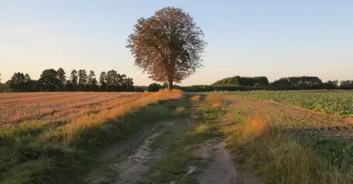 Твоє коло шахрайства: компанія, що найбільше рекламує здорожчання землі, заганяє інвесторів у кабальні умови