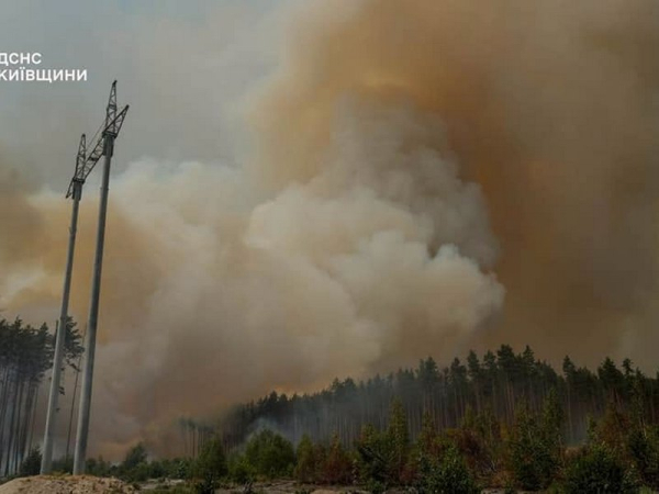 Літо — особлива небезпечна пора для лісних пожеж. Загорілося декілька осередків в Чорнобильській зоні. Рятувальники Київщини сьогодні зранку ліквідували загоряння на одній із локацій площею 130 гектарів. Приборкання вогню: пожежники загасили один з осередків спалаху в Чорнобильській зоні (фото, відео) - INFBusiness