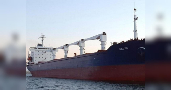 Зерновий фронт: удари рф по суднах в Чорному морі загрожують світовій продовольчій безпеці - INFBusiness