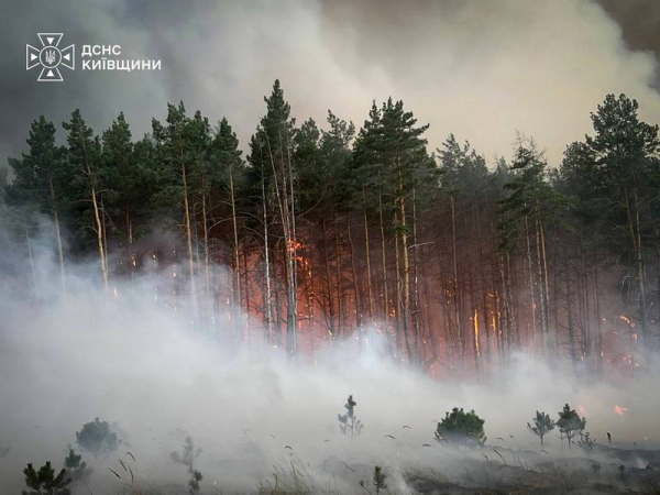 Залучили авіацію і рятувальників із областей: на Київщині вирує масштабна лісова пожежа (фото, відео) - INFBusiness