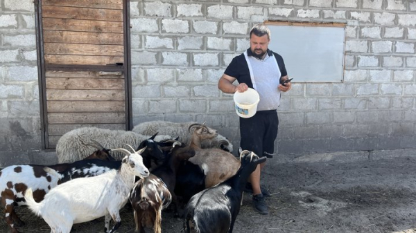 Охолоджені соки для мавп, басейн для левів та обливання водою для страусів: як в екопарку під Полтавою рятують від спеки понад 7 тисяч тварин і птахів - INFBusiness