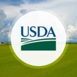 USDA залучить ШІ до прогнозування врожаю після критики фермерів - INFBusiness