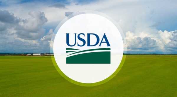 Міністерство сільського господарства США (USDA) запускає пілотний проєкт із ширшим використанням технологій для підвищення точності оцінок посівних площ і врожайності сільськогосподарських культур. USDA залучить ШІ до прогнозування врожаю після критики фермерів - INFBusiness