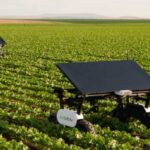 Aigen прискорила навчання агророботів завдяки симуляції - INFBusiness