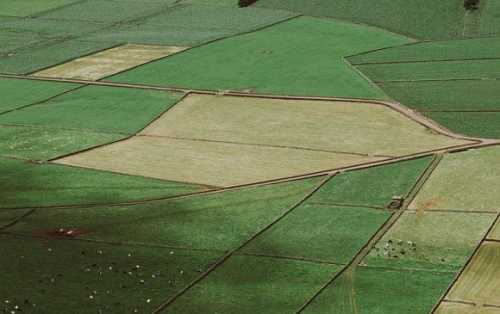 Понад 254 тисячі угод з купівлі-продажі української сільгоспземлі було укладено за три роки відкритого ринку землі. Загалом українці придбали півмільйона га землі із середньою вартість у 41 тисячу гривень. Найбільш запитаними стали угіддя на Полтавщині, а найдорожчими — в Івано-Франківській області. Найбільше купували землю у 2023 році — 179 921 га. Найбільше землю купують на Полтавщині, – Опендатабот - INFBusiness